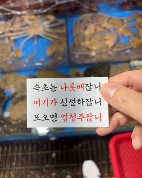 청호활어회센터 나룻배 12호 회포장 5