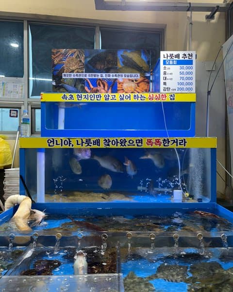 청호활어회센터 나룻배 12호 회포장 사진 2/5