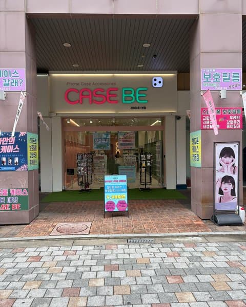 케이스비 6