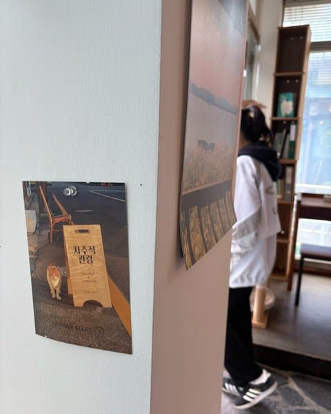 자주적관람 4