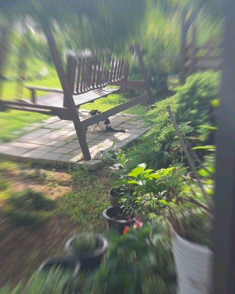 하루 사진 6/8