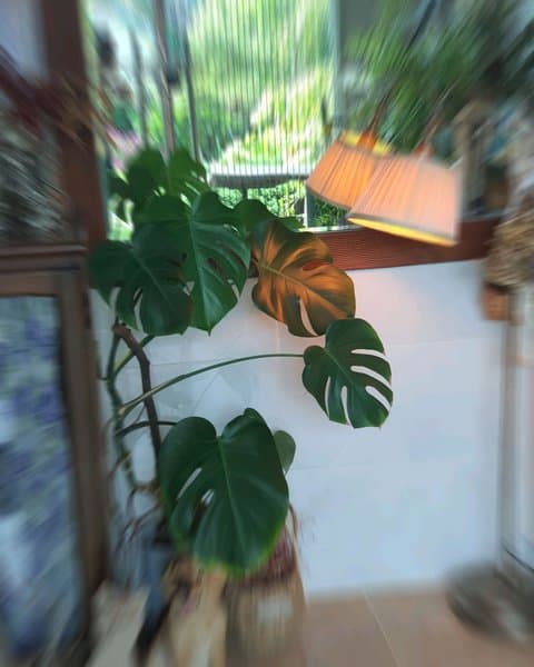 하루 사진 7/8