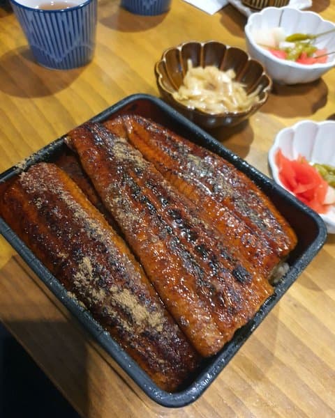 타마 사진 2/8
