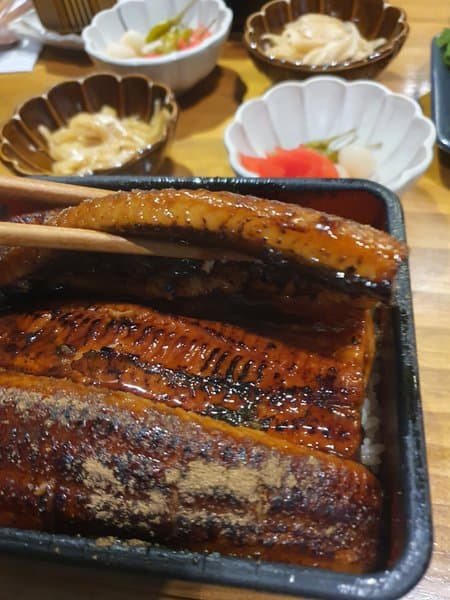 타마 사진 6/8