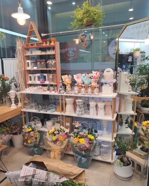 연플라워 사진 4/7