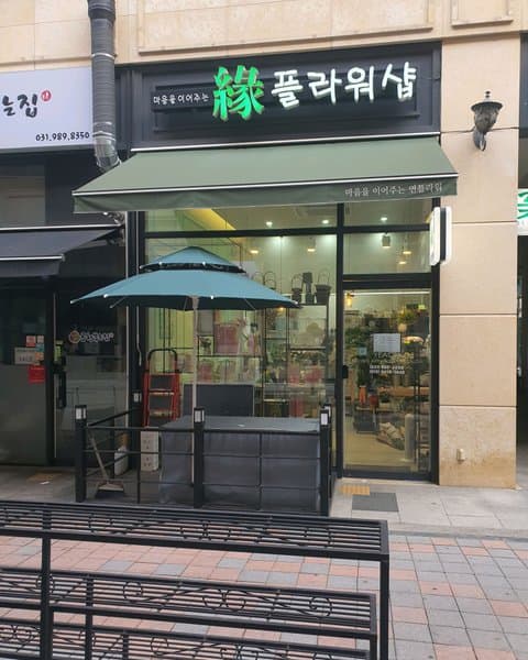 연플라워 사진 5/7